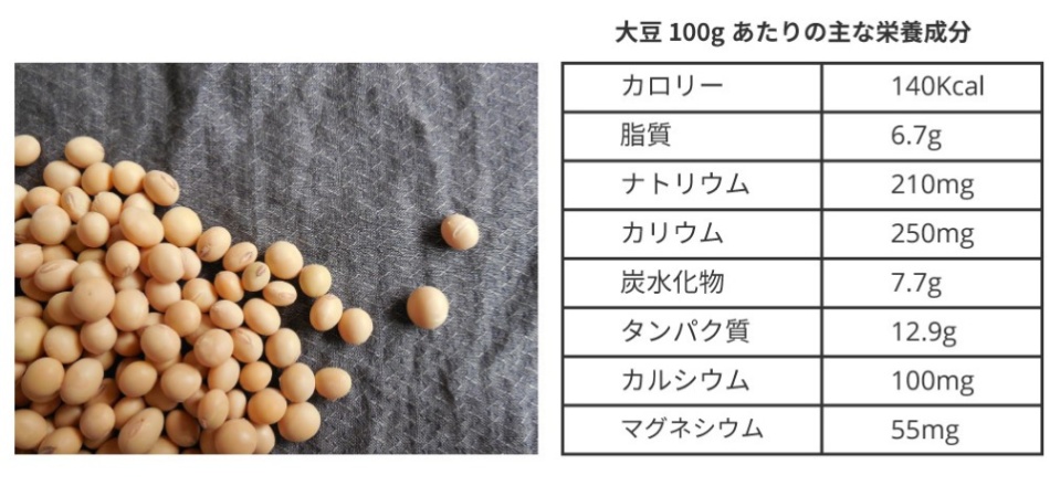 japanesegrammar